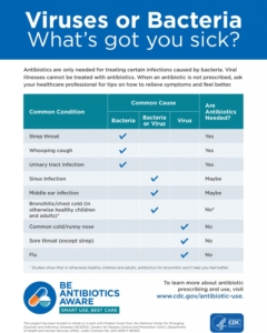 Viruses or Bacteria: Why are you sick?